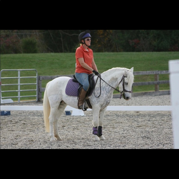 Meet your Posher, Loretta - Picture 3 of 4